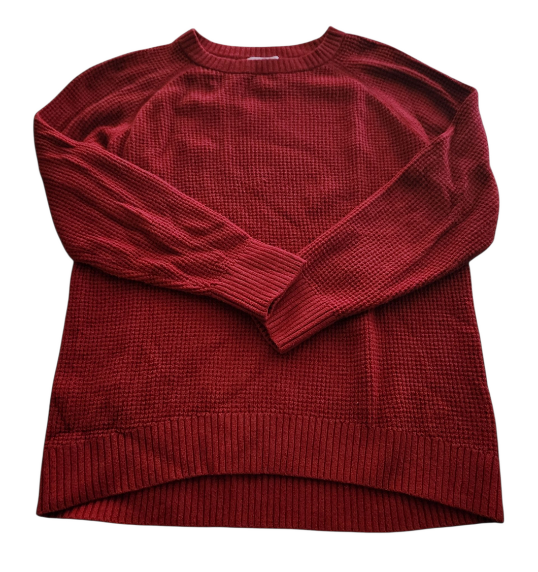 Sweater (Old Navy) medium