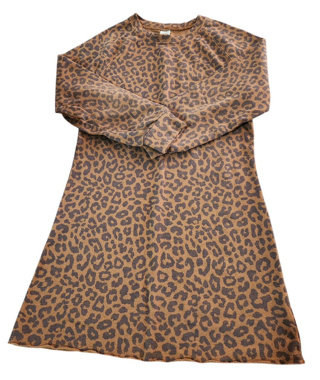 Dress (Carters) size 10